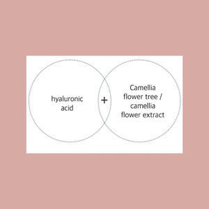 Tonico Sbiancante e Antirughe alla Camelia Cap-Stay Coreano OEM ODM - Product Image 2