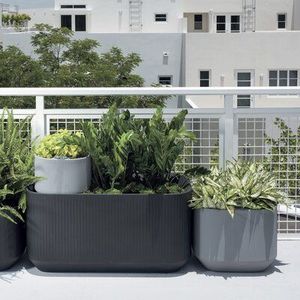 Caja de macetas de hierro con asa, maceta de buen diseño para decoración del hogar y la mesa con macetas de precio asequible de la India - Product Image 5