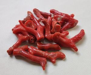 100% Natural Italian Red Coral Gemstone Coral Loose Branch Polished AA+ Quality Coral <b>Stick</b> <b>Smooth</b> Gemstone Designer Coral <b>Stick</b> - Product Image 5