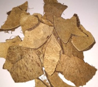Prix bon marché coquille de noix de coco de Blue Lotus Farm Vietnam Exportation en vrac 2023