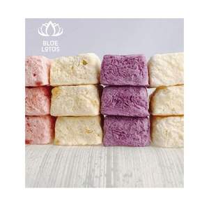 โยเกิร์ตแห้งแช่แข็งมูลค่า2025จากเวียดนามช่วยเพิ่มสมูทตี้และซีเรียลที่มีรสชาติครีมกรุบกรอบ - Product Image 1