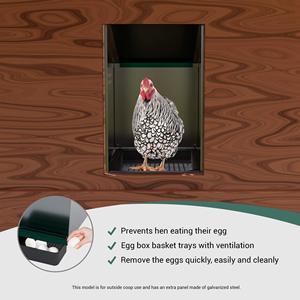 Gestion avancée des œufs : <span class=keywords><strong>Abri</strong></span> urbain pour <span class=keywords><strong>poules</strong></span> à compartiment unique MG01-S - Product Image 3