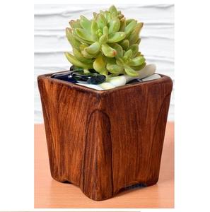 Maceta de madera de diseño único, fábrica de vajilla al por mayor, artículo de decoración, maceta de madera de 2 piezas de Calidad exclusiva - Product Image 4