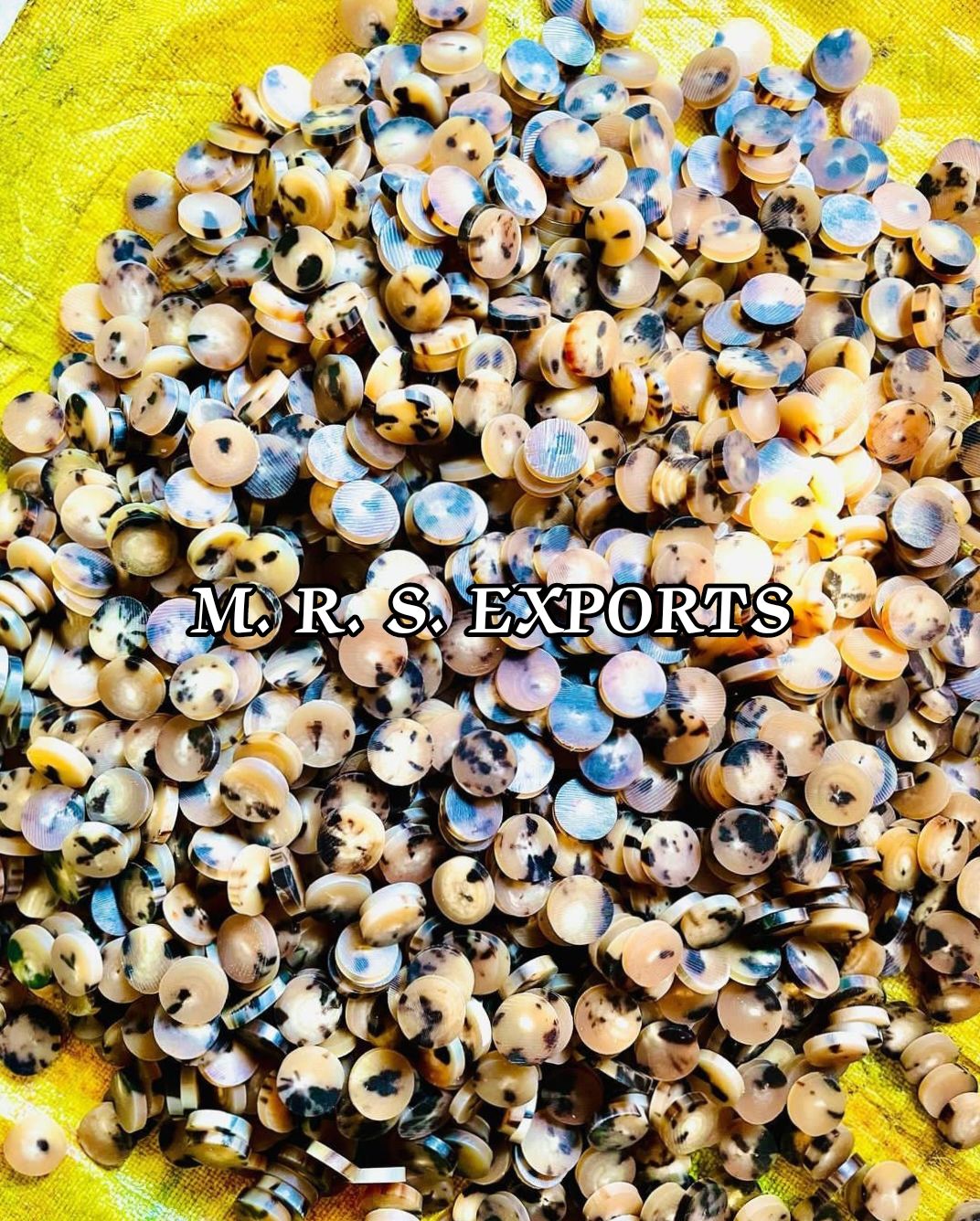 ธรรมชาติ