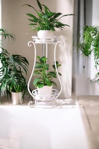 Juego de Macetas Blancas para Decoración Moderna del Hogar, Vegetación Interior Elegante para Sala de Estar, Oficina y Balcón, Procedentes de la India - Product Image 2