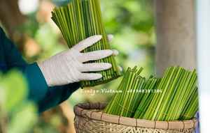 100% Biodegradable Grass <b>Straws</b> <b>Drinking</b> Set Vietnam Made of 100% Natural Grass in Vietnam Export by Eco2go Vietnam Manufacturer - Product Image 5