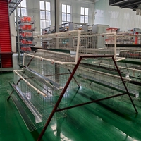 Nouveau système de cages automatiques robustes pour poulets, cages à batterie galvanisées pour poules pondeuses, pour élevages avicoles à grande échelle