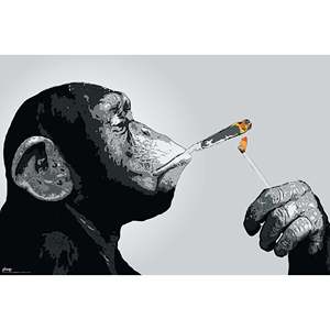 Steez <b>Poster</b> Monkey Joint Time Design Durable Paper Material for Wall Decor - Product Image 1