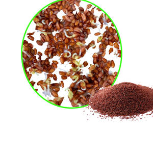 Cress | สมุนไพรครัวสด | สินค้าเกษตรอินทรีย์ - Product Image 3