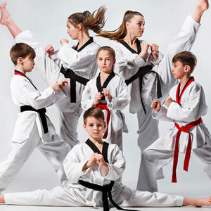 Nouveau style de ceinture de judo conception personnalisée ceinture de judo karaté d'art martial vente en gros de ceintures de judo d'arts martiaux brodées par logo personnalisé - Product Image 3