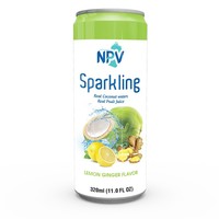 Fournisseur du Vietnam Personnaliser l'étiquette avec faible quantité minimale de commande forte saveur de café eau de coco 250ml peut produit chaud pour l'été