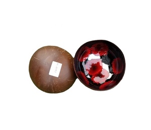 Juegos de Vajilla Ecológicos de Alta Calidad, Tazones Pulidos de Diseño Minimalista, Coloridos, Venta al por Mayor, Tazón de Coco Hecho en Vietnam - Product Image 1