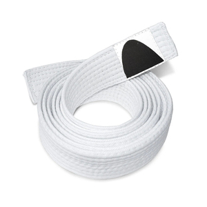 Vêtements de sport actifs Arts martiaux ceinture de karaté 100% coton fait Taekwondo Jiu Jitsu ceintures Logo personnalisé impression BJJ ceinture unisexe - Product Image 5