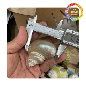 Servilleteros Seashell para decoración de bodas y regalos | Proveedor de Vietnam - Product Image 2