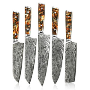 Juego de cuchillos de cocina profesionales personalizados de Damasco, 67 capas, con mango de resina acrílica - Product Image 1