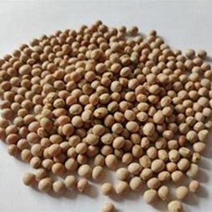 Compre Guisante de Paloma Rico en Proteínas Disponible a Precio de Granja - Product Image 4