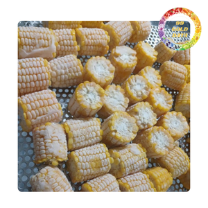 Maïs sucré congelé | IQF congelé | Origine Vietnam - Product Image 1