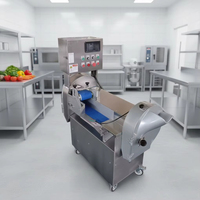 Commerciële multifunctionele groentesnijmachine van roestvrij staal, groentesnijder, -dicer en -shredder voor de verwerking van fruit en groenten