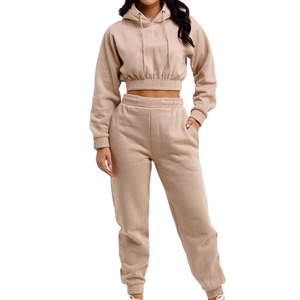 Prix usine personnalisé femmes sport sweat à capuche haute qualité coton mince col en v culture longue coupe ample hiver court 2026 - Product Image 2