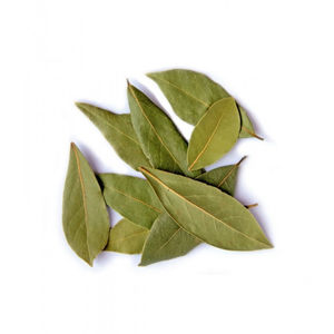 bay leaf laurel turkey