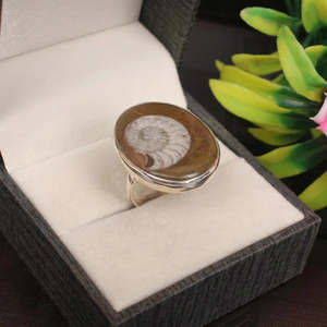 Bague en pierre précieuse fossile d'ammonite naturelle sertie de lunette en argent sterling 92.5 incrusté de zircon perle d'agate vintage mignonne pour les mariages - Product Image 3