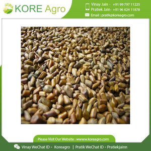 Cassia Tora audaz de la India Cassia Tora herbal disponible para exportación al precio más barato - Product Image 4