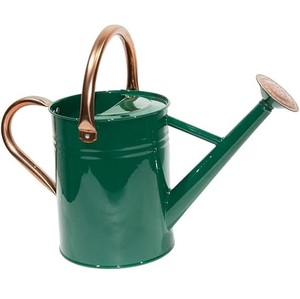 Modern Luxury Look Metal Watering <b>Can</b> for Plants Garden <b>Water</b> <b>Can</b> for Kids Flower Watering Pot for Home Gardening - Product Image 6