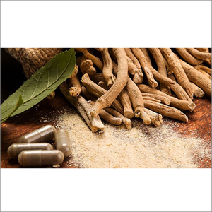 Extracto de Ashwagandha Natural en Polvo de Marca Privada OEM, Cápsulas de Ashwagandha de Alta Calidad - Product Image 1