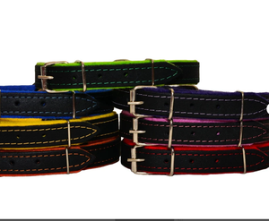 Collar de perro sabueso de cuero verde de alta calidad para galgo y Whippet - Product Image 3