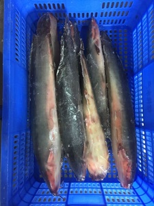 Erstklassiger Ganzer Runder Lebender Fisch <span class=keywords><strong>Clarius</strong></span> Fuscus Gefrorener Wels China Verkauf - Product Image 3