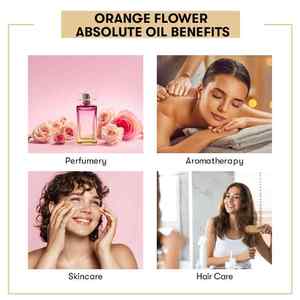 Aceite Absoluto de Flor de Naranja, Producto Cítrico Fresco - Product Image 4