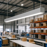 Luminaire suspendu linéaire LED en aluminium de 1200 mm pour centre d'entrepôt, 6000K, dimmable, pour zone d'emballage, lampe de plafond