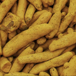 Dedo de cúrcuma secado al sol pura bondad Ayurvédica marca RAUTIMPEX 24 meses de vida útil para bienestar a granel venta al por mayor directa India - Product Image 1