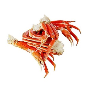 Patas de Cangrejo de <span class=keywords><strong>Nieve</strong></span> Capturadas <span class=keywords><strong>en</strong></span> el Campo, Mariscos Congelados - Product Image 2