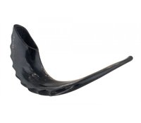Corne de bélier naturelle et forme naturelle, taille personnalisée, prix bas, corne de bélier naturelle pour la vente de cornes de mouton