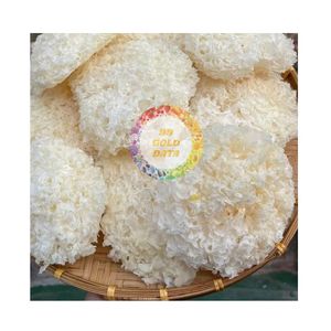 Tremella Fuciformis Seca de Alta Calidad, Hongo Oreja de Plata, Hongo Gelatina Blanco Cultivado, Entero, Comercializado Globalmente, Crudo, Mejor Precio - Product Image 3