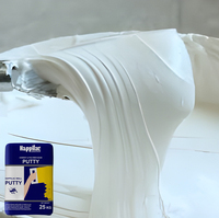 Meilleur enduit mural extérieur en poudre de ciment anti-humidité et anti-fissures à base d'acrylique, enduit blanc pour le lissage des murs