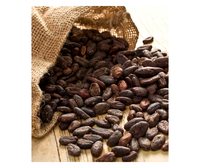 Granos de Cacao Premium de Vietnam para Compradores Mayoristas - Granos de Cacao Fermentados Secados al Sol para Procesamiento de Confitería