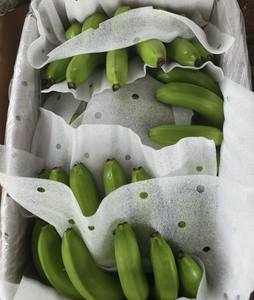 Plátanos Cavendish frescos totalmente naturales exportados por proveedor de Vietnam para muchos alimentos nutritivos - Product Image 2