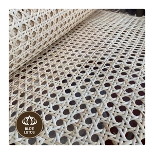 Matériau de sangle de canne en rotin le plus vendu pour la fabrication de meubles de projets de design d'intérieur et de panneaux décoratifs en osier écologique - Product Image 1