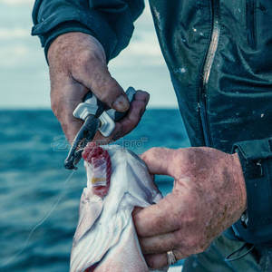 Pince à sertir professionnelle pour la pêche, outil pour les bornes de câbles, crochet, pince à sertir durable pour la pêche, connecteur de câble en acier inoxydable - Product Image 3