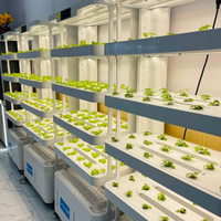 Équipement de plantation verticale intérieure, système hydroponique automatique pour la culture intérieure de bleuets, de laitues et d'herbes aromatiques avec nutriments gratuits