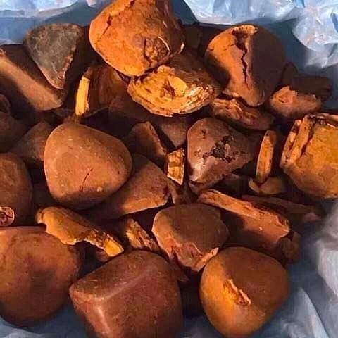 Корова быка, крупный рогатый скот, безоар, Болус, экстракт желчных камней, животный продукт, слова