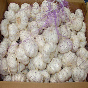Ajo Fresco Orgánico de la Mejor Calidad, Cabeza de Ajo Púrpura, Blanco Puro, Rojo, para Exportación, en Sacos de 10kg y 20kg, Venta al Por Mayor - Product Image 1