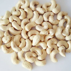 High Quality CASHEW NUTS WW240/W320 Kernel Processing Machines Organic Raw & Roasted Cultivation Great Price Vietnamese Supplier - Product Image 2