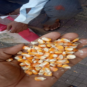 Harina de gluten de maíz en bolsa de embalaje Alimento de maíz amarillo sin OGM para ganado y caballos Grano seco de la India - Product Image 3