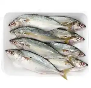 Peixe congelado,