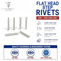 TianFang Rivet à étage tête plate, OEM matériel de précision, approvisionnement ISO9001, 100% inspecté.