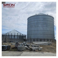 Silo de Acero Galvanizado en Caliente de Doble Capa SRON SILO de 50-15,000T de Capacidad para Almacenamiento de Granos, Económico, con Monitoreo PLC para Fábrica