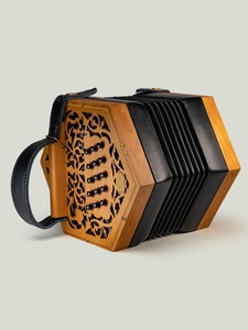 Acordeón Profesional para Música Folclórica y Tradicional - Product Image 3